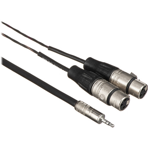 Pro Co Sound Stereo Mini to 2 XLR Female Soundcard Patch Y-Cable - 10'