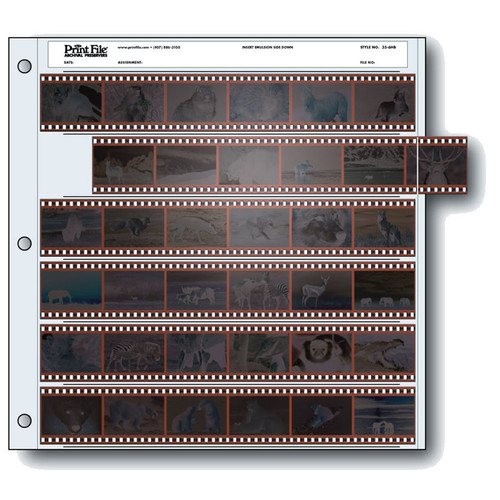 Print File Archival Storage Page for Negatives, 35mm - 25 Packs