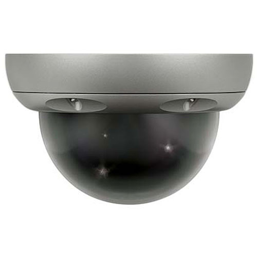 ARM Electronics DMDVP  Dummy Dome Camera (Gray) 