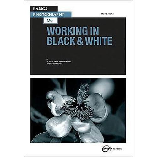 Amphoto Book: Basics Photography: Working in Black & White by David Prakel 