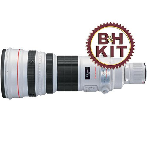 Canon Lente IS USM AF f/4L de 600mm com Capa de Lente LensCot (Branca) e Hoodie (Preto)