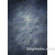 Studio Dynamics 5x6' Canvas Background LSM - Americo