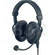 Beyerdynamic DT 290 Double Sided Circumaural Open-Back Headphone Headset