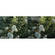 B+W 105mm #102 Neutral Density (ND) 0.6  Extra Wide  Glass Filter