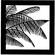 Chimera Window Pattern for 24x24" Frame