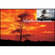 Cokin A002 Orange Resin Filter for Black & White Film