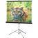 Draper Consul Portable Tripod Screen - 50 x 50" - Glass Beaded
