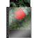 Prat / Start Cristal Laser Sheet Protectors - 18 x 24" - Ten Pack