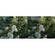 B+W 105mm #102 Neutral Density (ND) 0.6   Slim Glass Filter