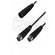 Neumann AC-21 5-Pin XLR Male to 2 3-Pin XLR Female Adapter Y-Cable
