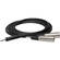 Hosa Technology Stereo Mini-Phone Male to 2 XLR Male Y-Cable -9.9'