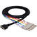 Hosa Technology DTP-805 Male DB-25 to 8 Stereo Male 1/4