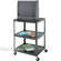 Advance AV6-42 PixMobile Monitor/Television Cart