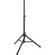 Ultimate Support TS-80B Aluminum Speaker Stand (Matte Black)