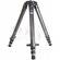 Gitzo G1505 - Pernas de Trip� Tele Studex Mk2