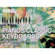 Korg EXB-PCM01 - 16MB Expansion Board