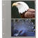 Pioneer Photo Albums Refill for Oval Framed Album #WF-5781