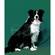 Backdrop-Alley 58x120" Velour Backdrop - Hunter Green