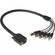 Comprehensive VGA 15-pin Male to 5-BNC Female - Adapter - 2'
