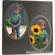 Albums-X MS806BG  Milano Mat 8 x 10" - for 2 5x7" Print(s) (Oval)  (Black/Gold)