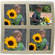 Albums-X MS811P  Milano Mat 8x10" - for Four 4x5" Print(s)  (Pearl)