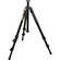 Manfrotto by Bogen Imaging 3021BN Tripod Legs (Black)