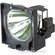 Canon LVLP06 Projector Replacement Lamp