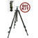 Manfrotto by Bogen Imaging 190XDB Tripod Legs with 3265 Ballhead