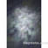 Studio Dynamics 5x6' Canvas Background LSM - Arabella