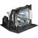 InFocus LAMP031 Projector Replacement Lamp