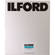 Ilford Ortho Plus 8x10" B/W Negative Film - 25 Sheets