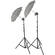 Lowel Tota-light Two-Light Kit