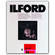 Ilford Ilfospeed RC DLX 5x7/25 #2 Glossy