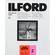 Ilford Ilfospeed RC DLX 8x10/100 #2 Glossy