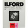 Ilford Ilfospeed RC DLX 8x10/250 #3 Glossy