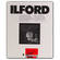 Ilford Ilfospeed RC DLX 8x10/250 #3 Pearl