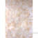 Studio Dynamics 10x10' Muslin Background - Alicia