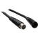 NSI / Leviton Cable - DMX 5 Pin - 50'