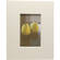 Nielsen & Bainbridge Mat - Fits Gallery and Presentation Frames, 8x10" with 4x6" Opening