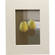 Nielsen & Bainbridge Mat - Fits Gallery and Presentation Frames, 8x10" with 5x7" Opening
