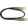 Hosa Technology 2 Stereo 1/4" Male to 2 Stereo 1/4" Male Cable (Gold Contacts) - 10'