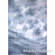 Studio Dynamics 5x6' Canvas Scenic Background LSM - Forest Mist