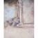Studio Dynamics 5x6' Canvas Scenic Background LSM - Tempus