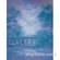 Studio Dynamics 5x6' Canvas Scenic Background LSM - Ondine