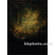Won Background 10x10' Muslin Background - Leonardo