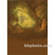 Won Background 10x10' Muslin Background - Calypso Island