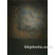 Won Background 10x10' Muslin Background - Classic Wall 1