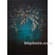 Won Background 10x10' Muslin Background - Night Beam