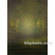 Won Background 10x10' Muslin Background - Inca Gate