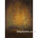 Won Background 10x10' Muslin Background - Bordeux